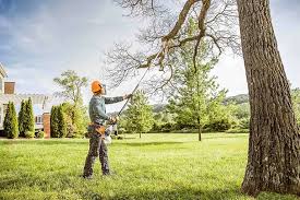 Lawn Irrigation Installation and Maintenance in Apple Valley, CA